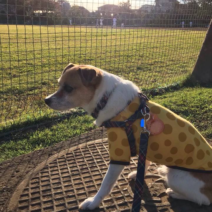 Cbcf2051 1e73 4c65 9890 65b76a21197a 1541061477152