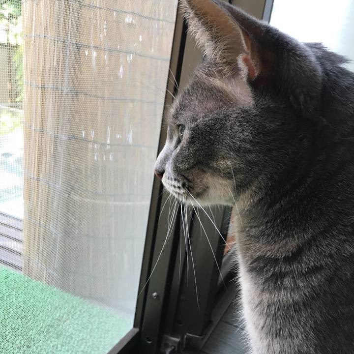 Cbcf3483 1de2 4476 9f67 735da83e6120 1598318186216