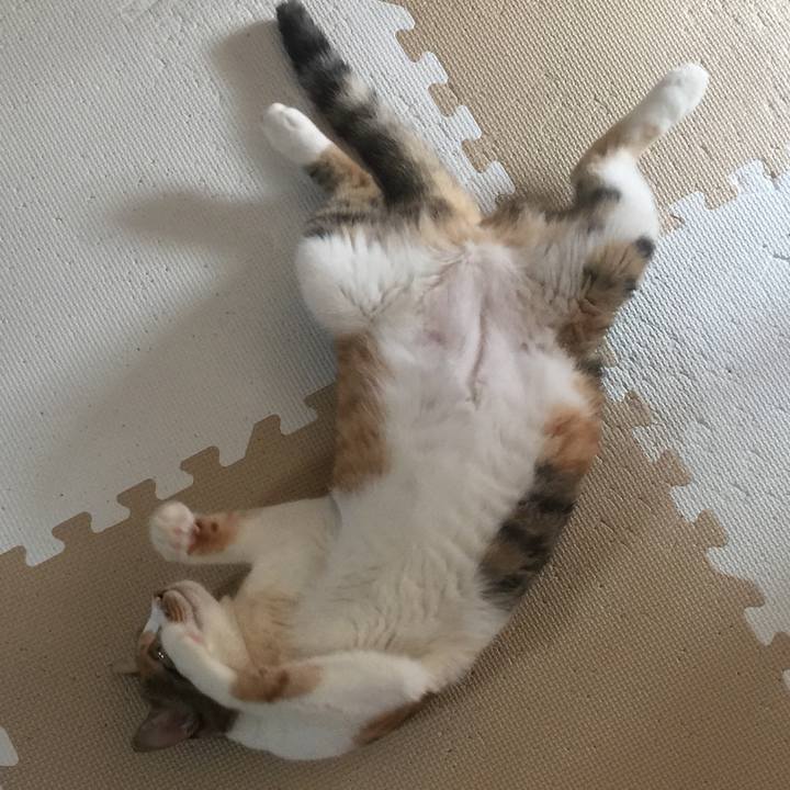 Cbcf404f 151b 4c46 8557 9b14068367ac 1659853640820