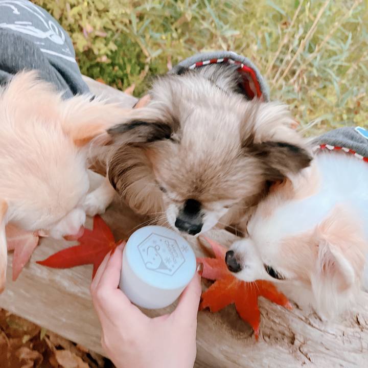 Cbcf51ac 7f41 4c76 b093 7a495bbc82a8 1667818255192