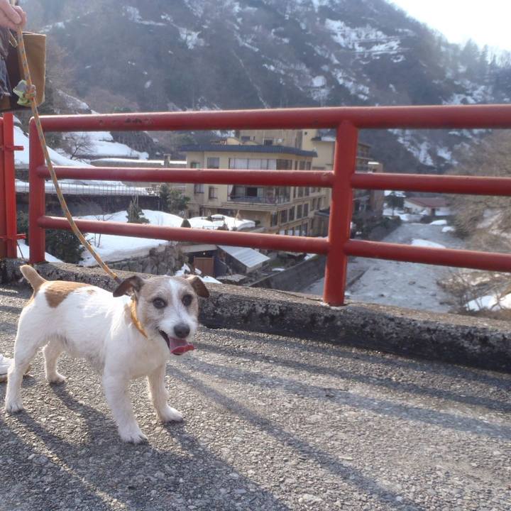 Cbcf52a1 31d7 4b42 9334 9c35e7c48ce3 1521090571260