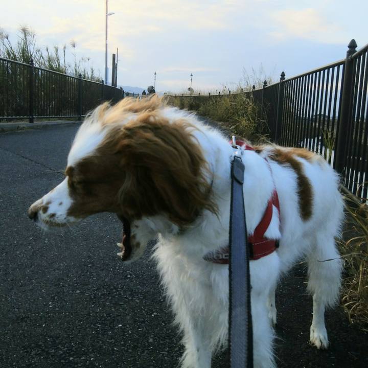 Cbcf5549 2618 4c27 8592 6546c080945e 1545121020694