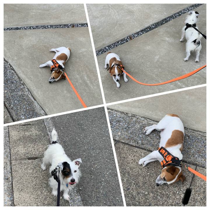 Cbcf76d2 37ca 4342 9df4 646dfb3c6a33 1629503438773