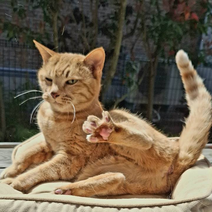 Cbcf8378 4808 4e1a 90c7 02e94b52be24 1743494159803