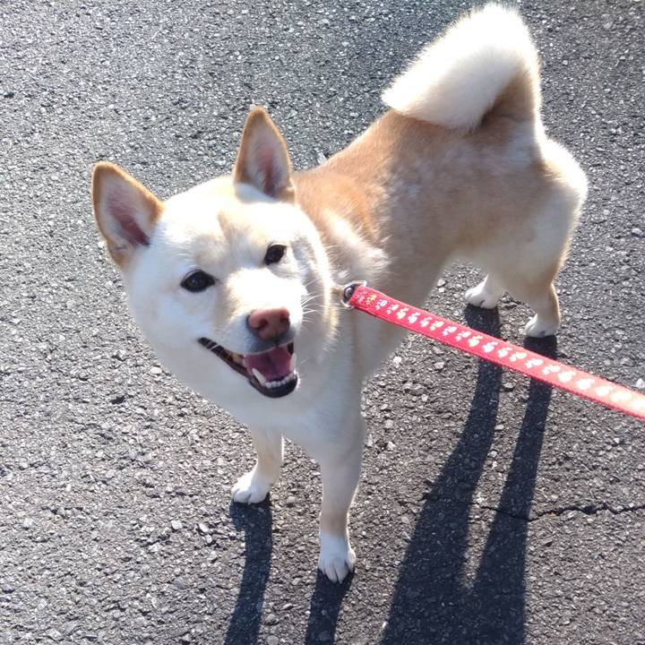 Cbcfc2b5 c9cf 4485 bfa7 b2512576d819 1587904200142