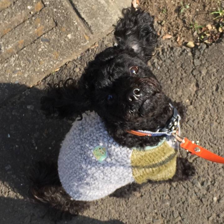 Cbcfda4a 5e0e 4d85 9241 7f948a2c5a9b 1518774767117