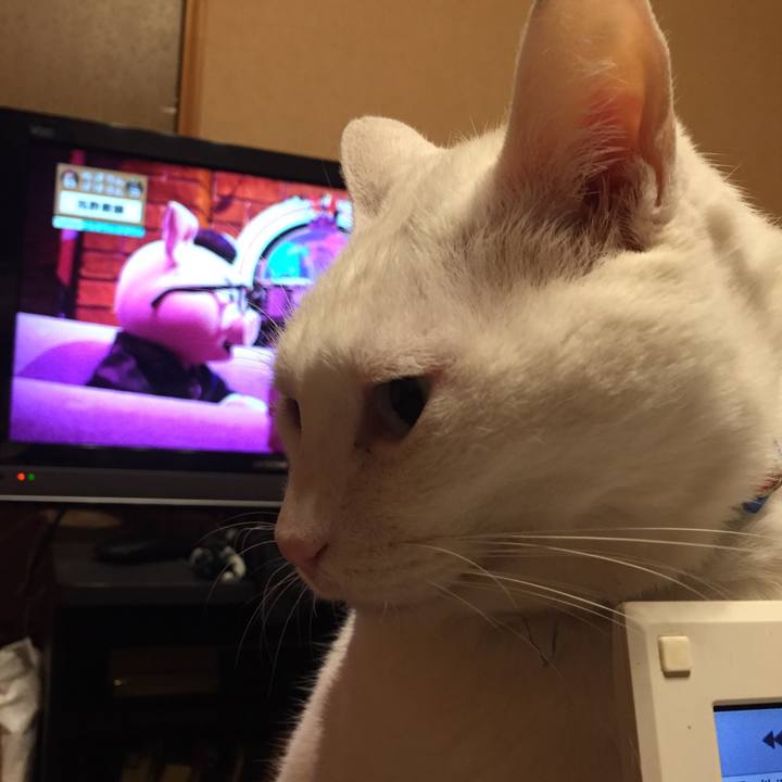 Cbcfde5e 4035 40b3 9aa2 e4d19ba939bf 1577807404460