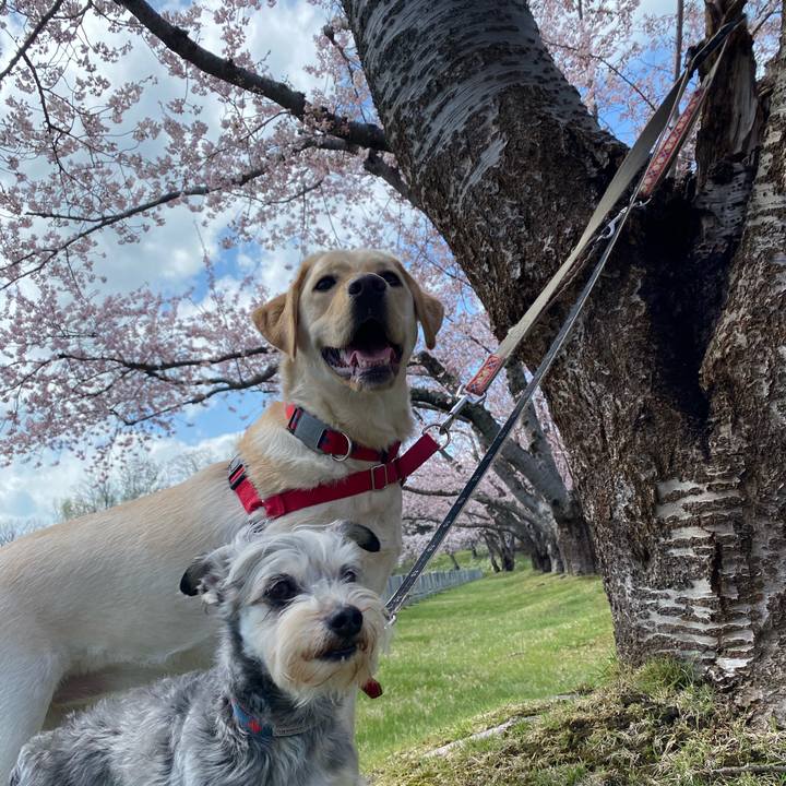 Cbd005f9 5e0c 4127 8fda 3b666d74bed9 1683177370884