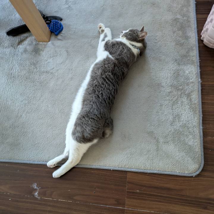 Cbd00f88 4c06 4a03 bddc 4eb120041984 1747093594105