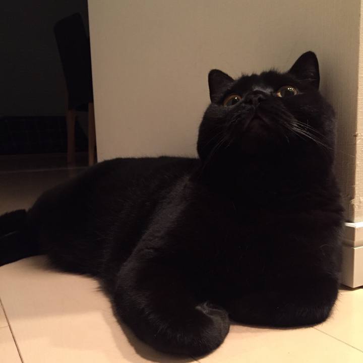 Cbd03316 3f82 46a4 b463 71cd0ba739f0 1545396991747