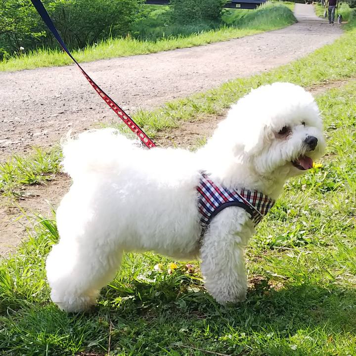 Cbd03db2 120b 475b bde2 692527b8543c 1524455244607