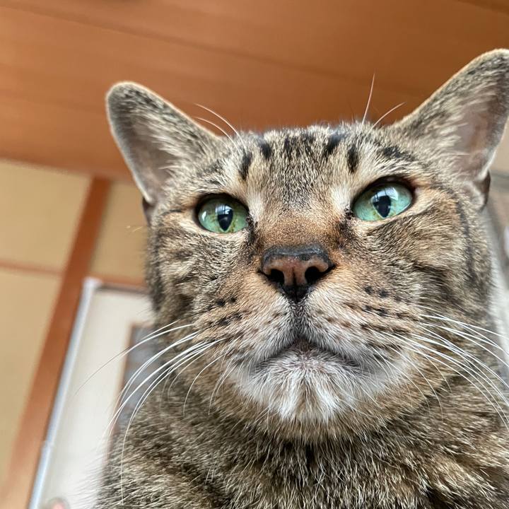 Cbd0793f ae57 45d0 98c5 f89b33f3bbe4 1621648498438