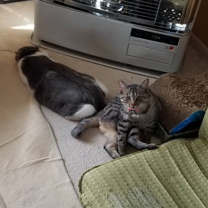 Cbd09b82 1f5c 4abd a052 ce45b966aeb5 1682436729852