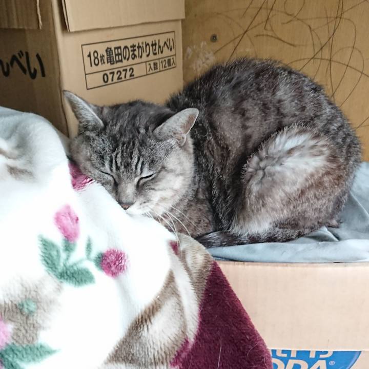 Cbd0a97f 7976 444c 8c4c ce76c3bb7ac3 1570759155632