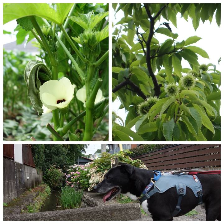 Cbd0e624 e069 4870 b40b 4825ad11fcf3 1719446537380