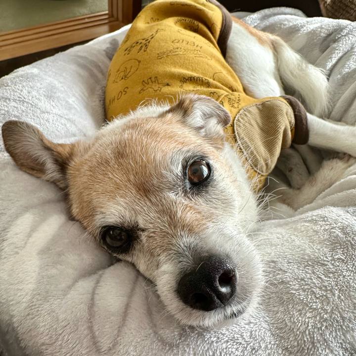 Cbd0f04c 692d 40b3 a11c 7b81844996b5 1671509055460