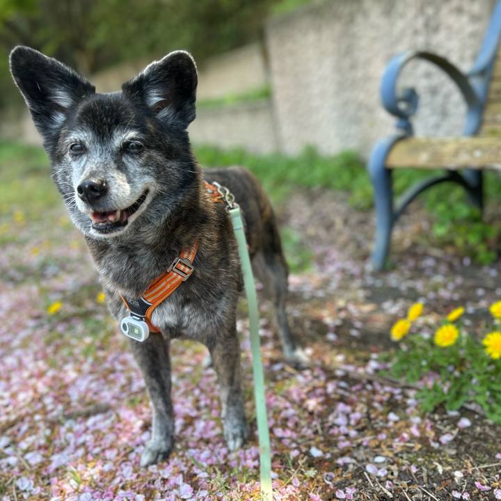 Cbd0f05d 5080 4901 a9eb be79d579b6bf 1744349884922