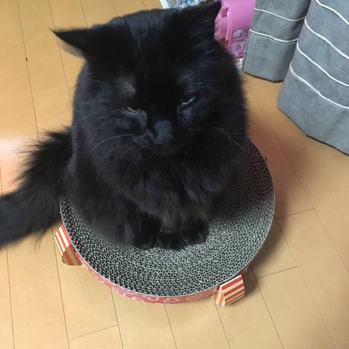 Cbd12461 8fb4 4802 8b79 30ace7f1c916 1530111243772