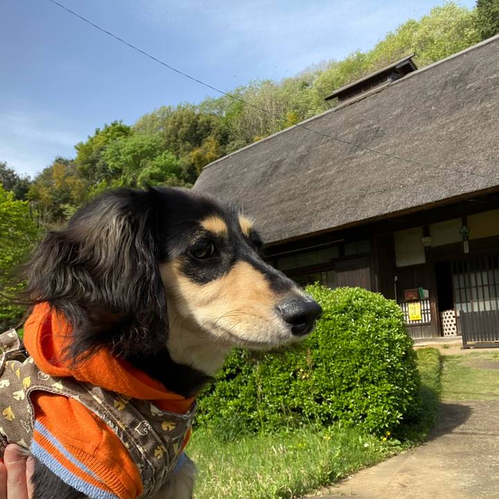 Cbd1749a 8b9a 485e 90fc dd5ec4b7c335 1681441806783