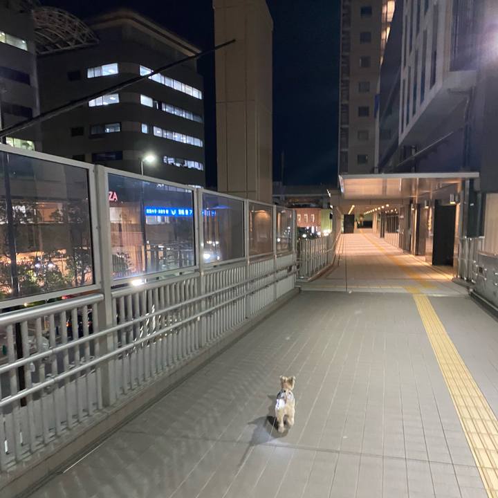 Cbd18e2c ecb0 4a83 9535 ef858a9edd2f 1745323753654