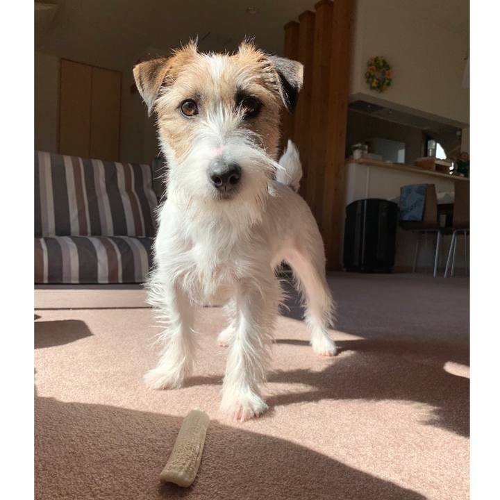 Cbd196e6 1d89 4197 bb53 139a2b1dd74a 1581160482054