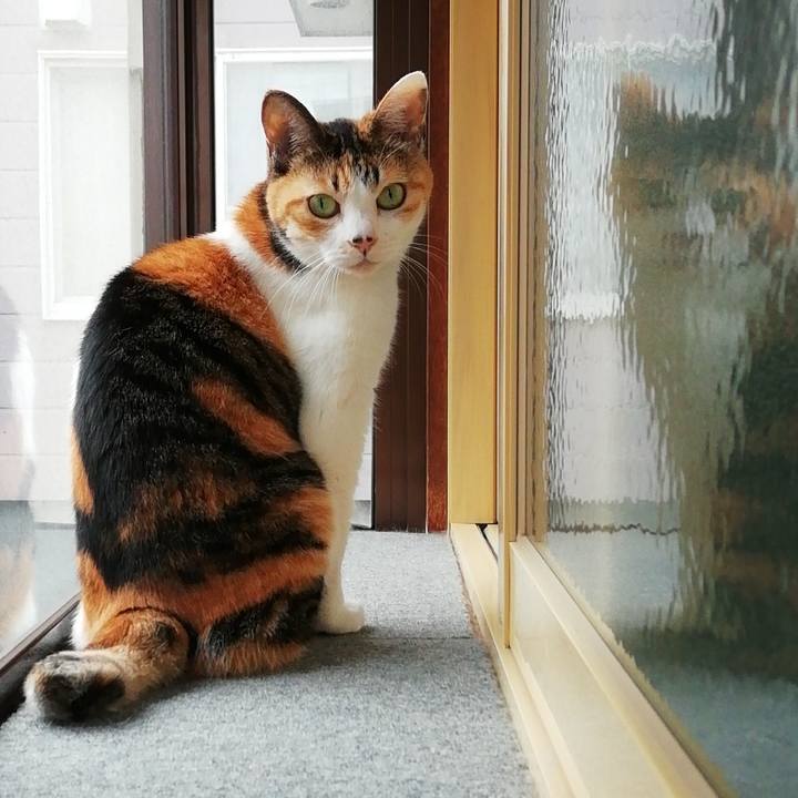 Cbd1b6fc 0491 4213 9f0e 192831adab6b 1625237327689