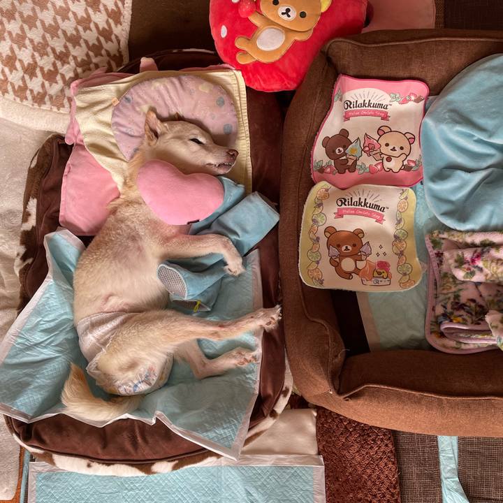 Cbd1c7bd aa45 440d b711 1aa9fd857544 1678341449615