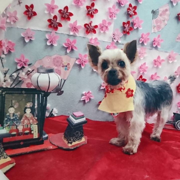 Cbd22827 dcbf 4c0b b21c 673eb2f2e167 1521871203001