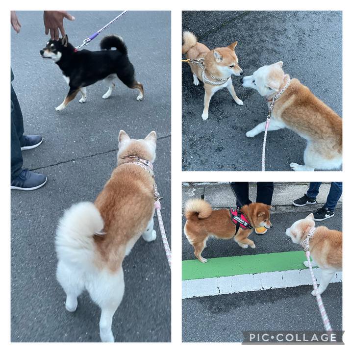 Cbd25efa 69ca 4a59 8b58 7a844abe6599 1681772970749