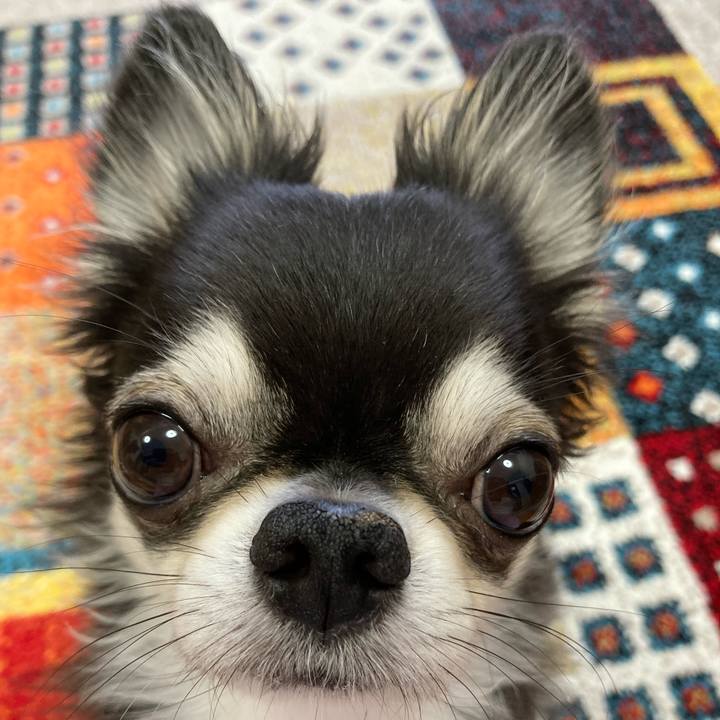 Cbd28e42 a018 4ec9 b108 1ed7cb970d44 1688857010045