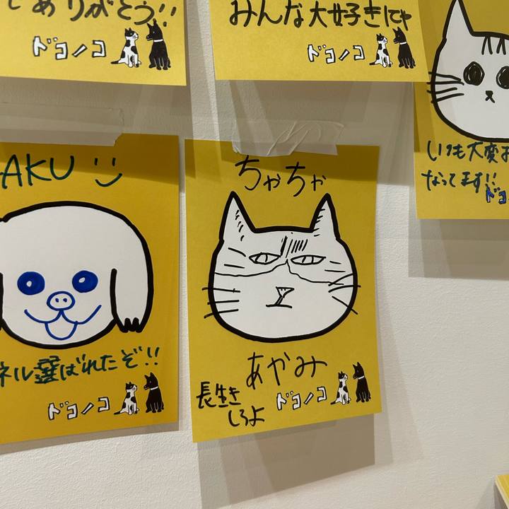 Cbd2cf3b 8f61 4a96 ac9a 1814f45879f7 1762071153947