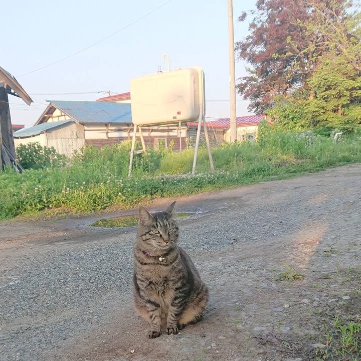 Cbd3132d 10a7 4575 9218 d919238cc632 1653771054943