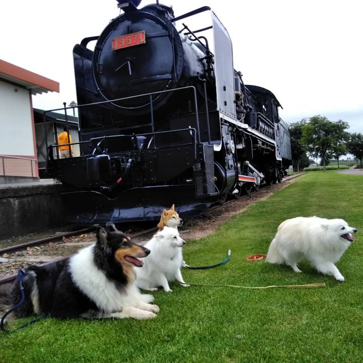 Cbd331f2 4e65 4599 a3fa af5c3db28722 1565843848570