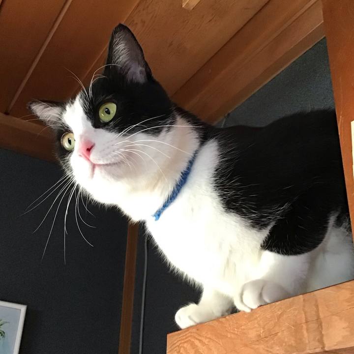 Cbd35ec9 4871 4469 818e c82de4576650 1706095776554