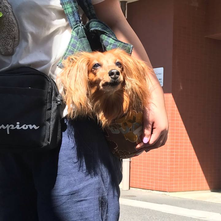 Cbd3733a aec9 4f28 b6a0 59c3fd78feaf 1569601154307