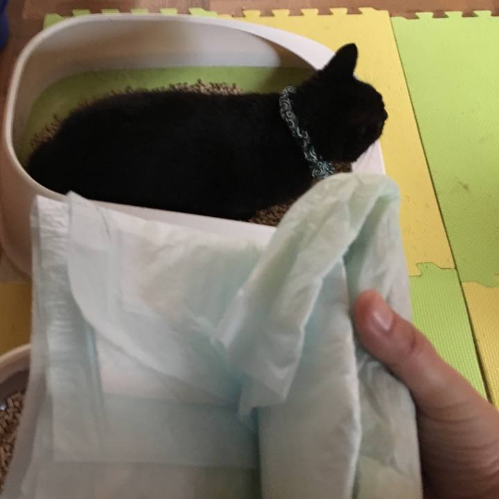 Cbd37a7f ef54 467e 84dc 2b26630f1e3a 1532425792102