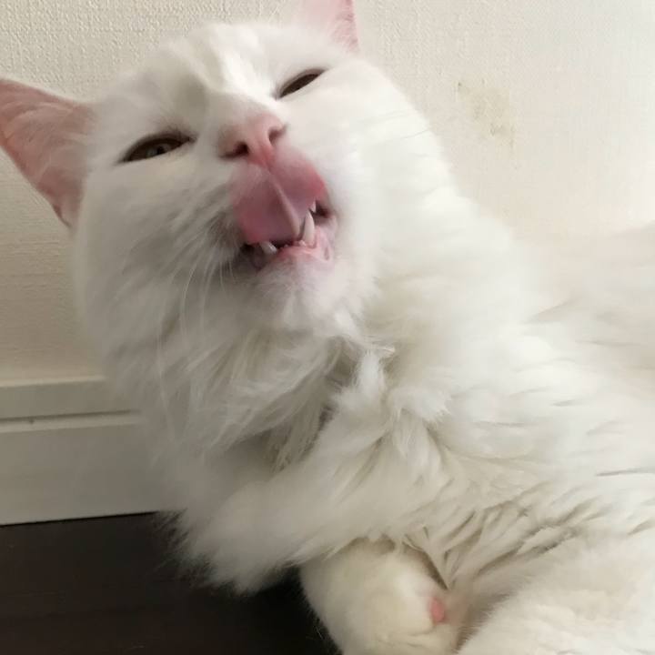 Cbd3ca3d 3ac9 44d6 9eca ac5d665d8b55 1527721733291