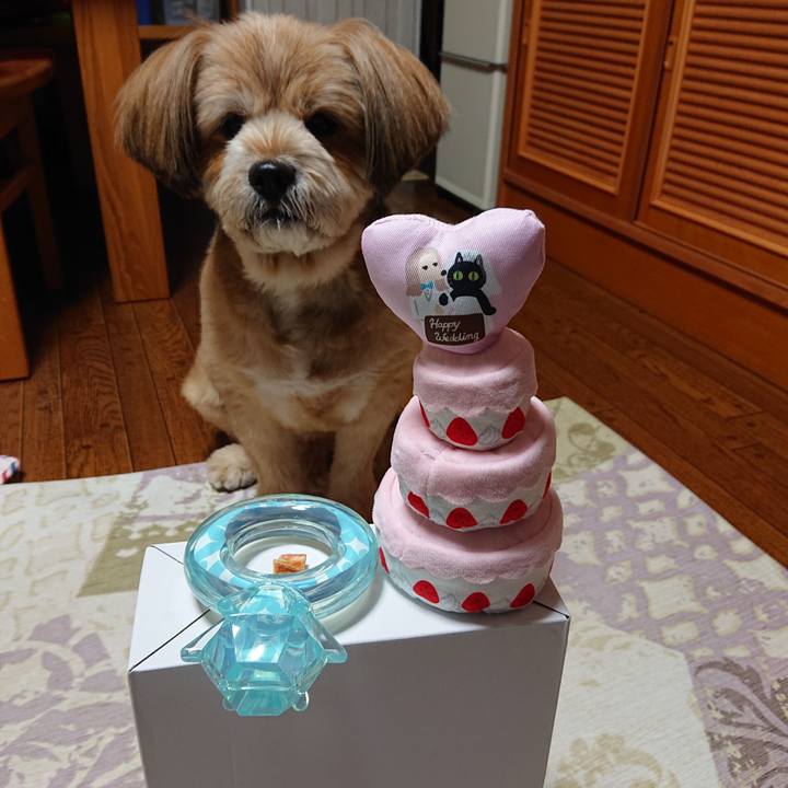 Cbd3e5bc ec56 4ede a60a 09e7cf1dee87 1590673222336