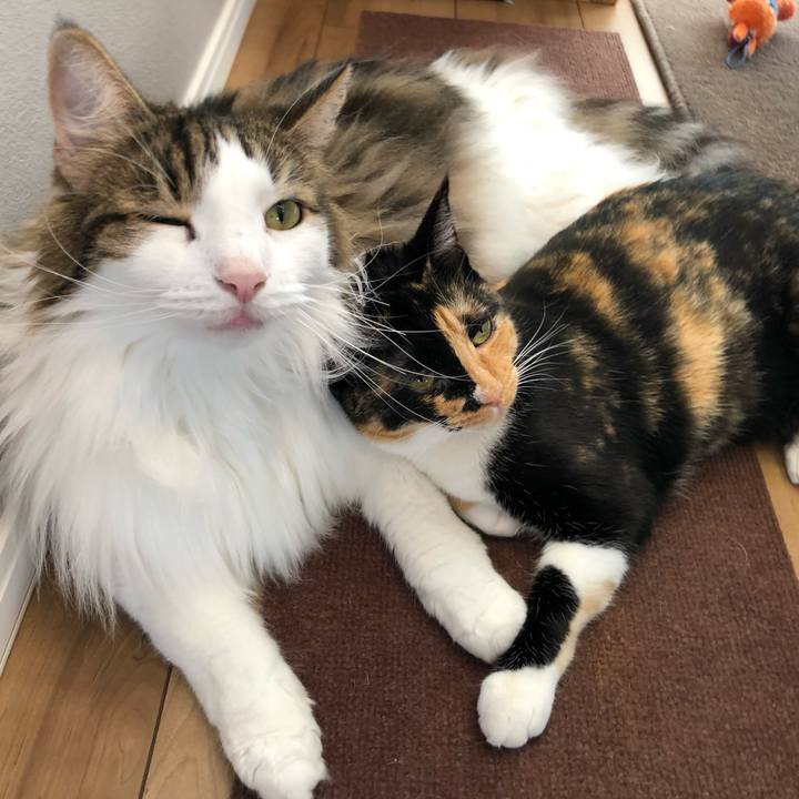 Cbd3ed2f f6d6 4dcb 8101 e59f42a1046d 1663021780621