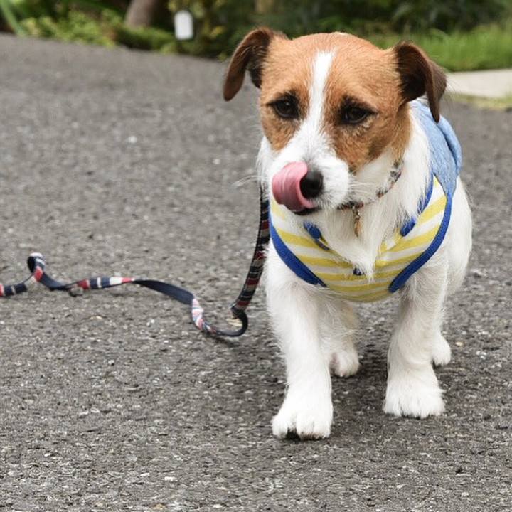 Cbd40c33 1bca 4a87 9368 3aa0a726e353 1509200069946