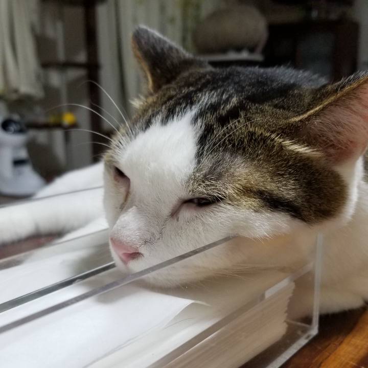 Cbd4208e 23ed 4a38 8298 b460e219d7ca 1596882462589