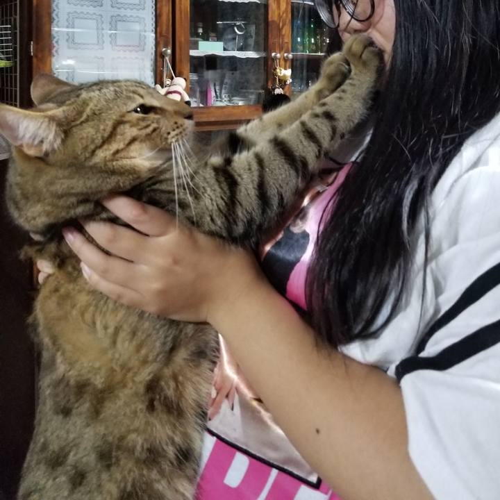 Cbd42f1b d509 40a2 bdd5 ddd6ff18c1d6 1602940862199