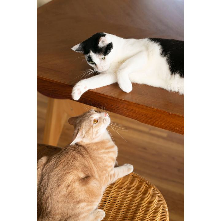 Cbd4458f dafe 481f 9129 c8feff236756 1573466282167