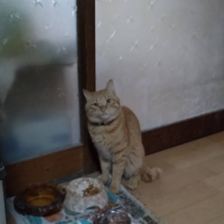 Cbd44711 4c56 46e4 b88e 12b8e801befa 1668119490419