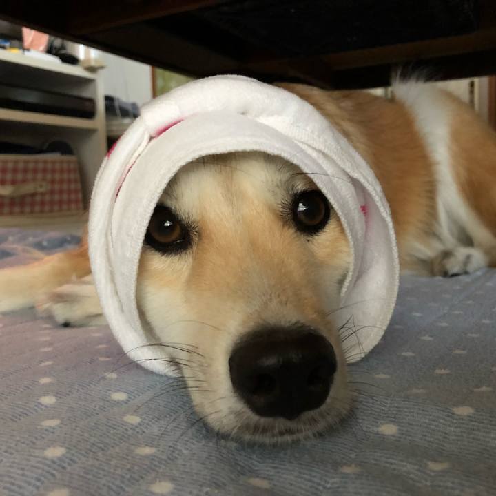 Cbd45980 aea2 48ba 8a3d c2c6ced21909 1565161831327