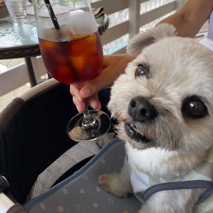 Cbd47bef aeb1 42c6 9b80 661965208ffe 1660533044084