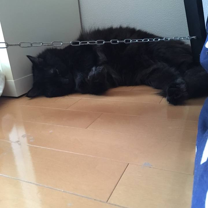 Cbd50fc1 66af 48c4 9f9f e1d27a31f51f 1564488091811