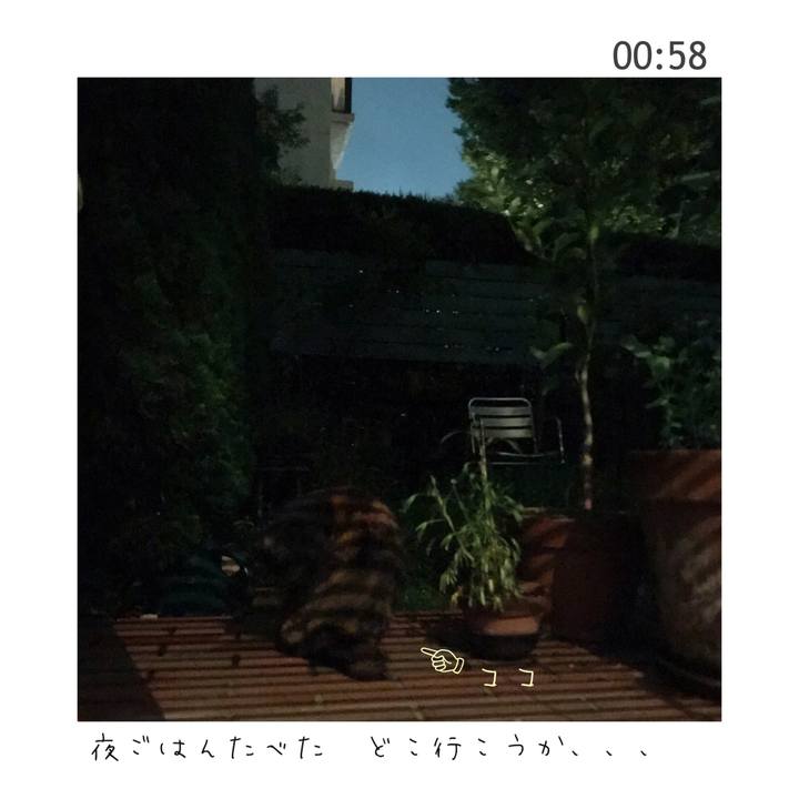 Cbd54d44 ff8d 4952 957e bd63e2565988 1662076356182