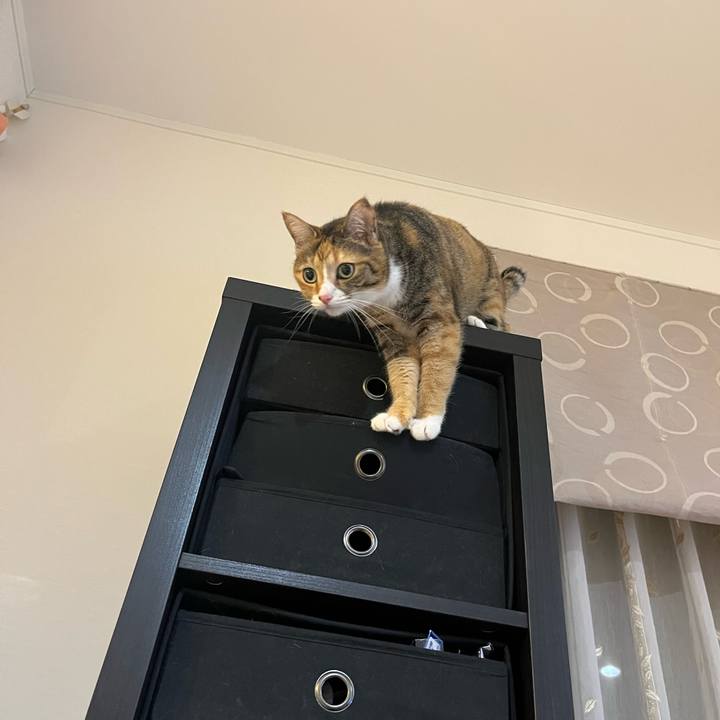 Cbd590e1 0cdf 445a bf6a 5d81a480352f 1696939197152