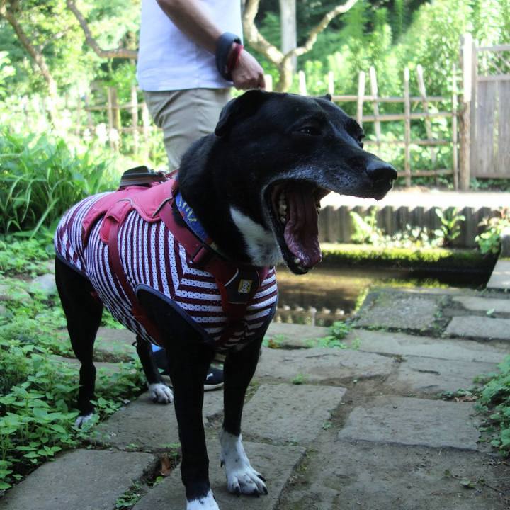 Cbd5951d 41a1 4c7a 9510 54602de6be34 1689471617524